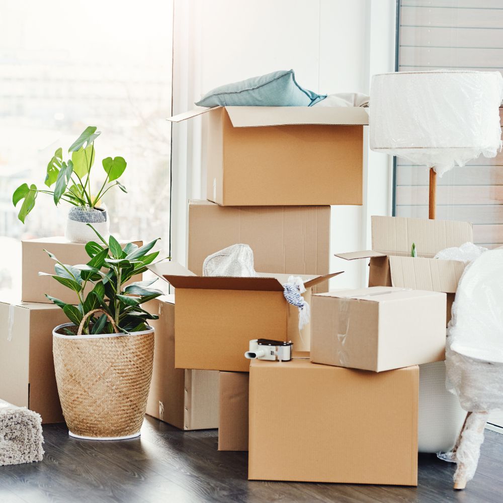 Déménagement avec G-Castrans - Estaimpuis - Mouscron - Tournai